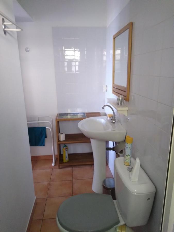 Studio Aux Avirons Pour 2 Personnes, Avec Piscine Les Avirons Eksteriør bilde
